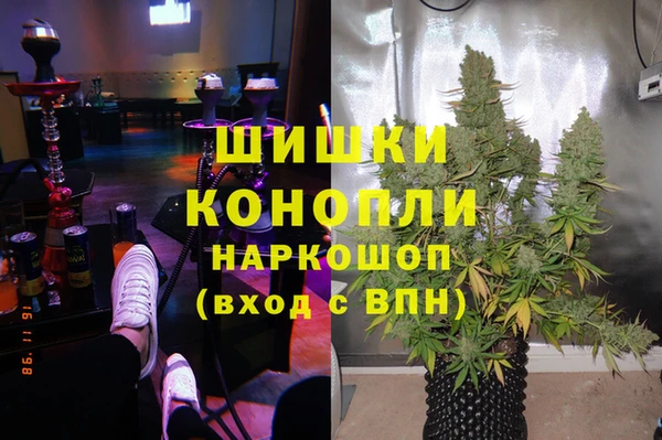 тгк Богородск