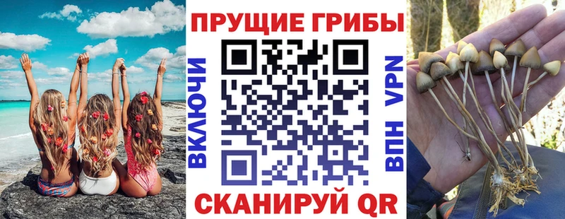 Галлюциногенные грибы MAGIC MUSHROOMS  Дедовск 